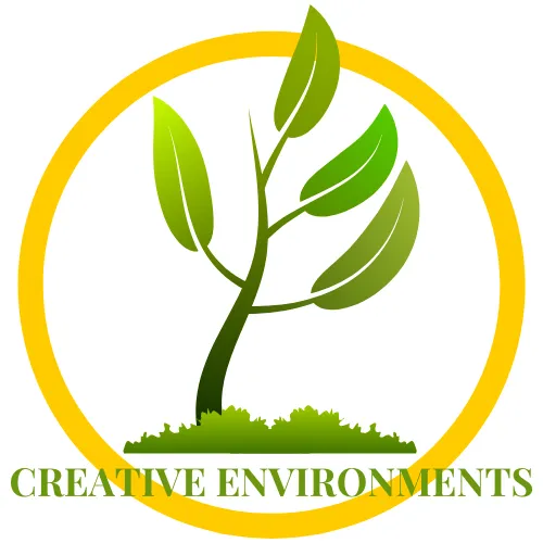 Expert landscaping services in Tubac, AZ by Creative Environments