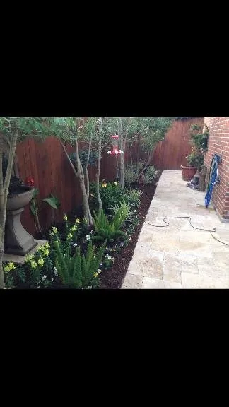 Professional yard cleanup service near you in Lafayette, LA by Creative Exteriors