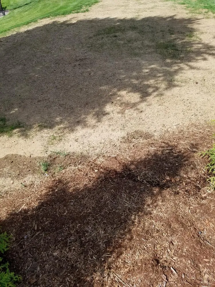 Local lawn care service in Vernon, CT by Creative Exteriors