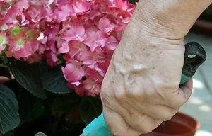 Custom garden landscaping near you across Vernon, CT - Creative Exteriors