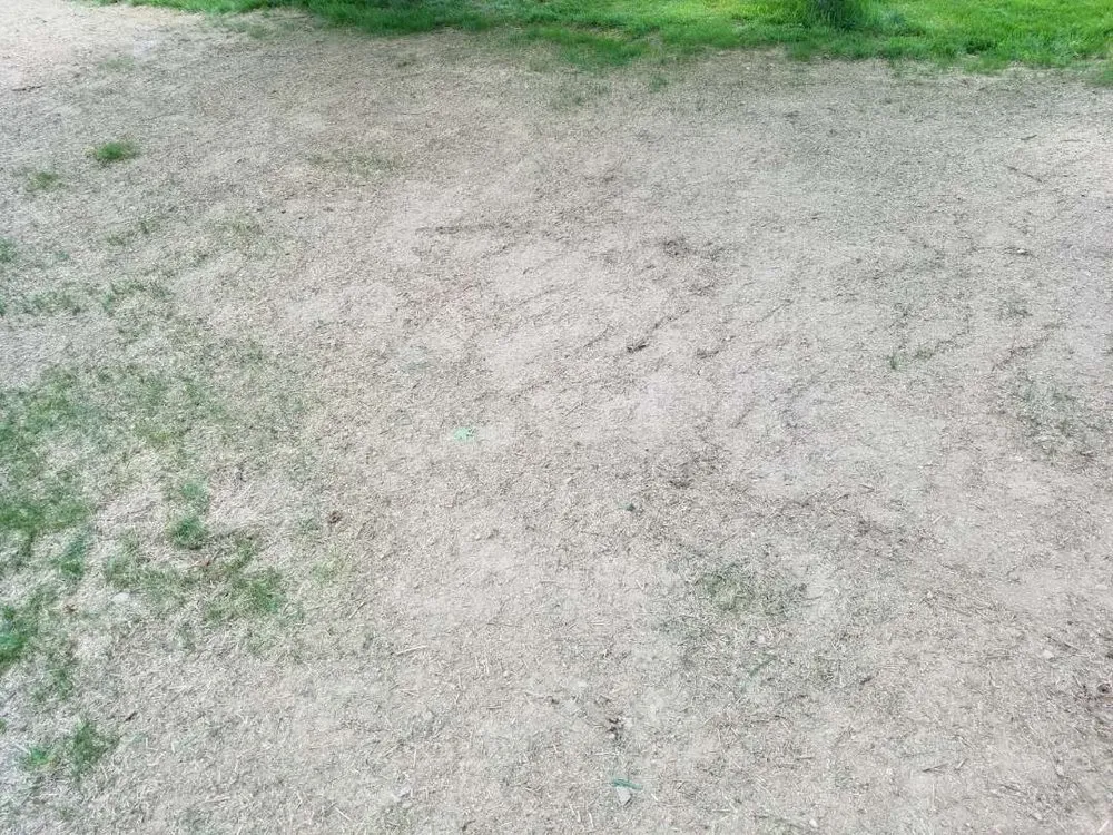 Local yard cleanup service for beautiful yards across Vernon, CT - Creative Exteriors