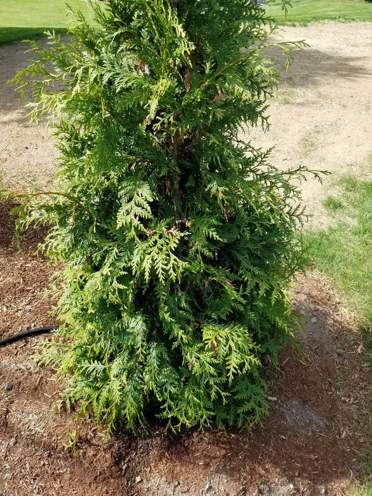 Reliable garden landscaping for outdoor upgrades in Vernon, CT by Creative Exteriors