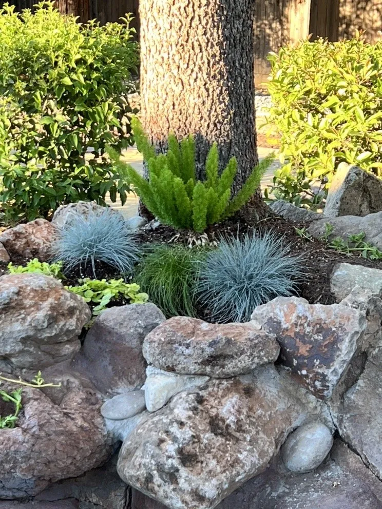 Reliable residential landscaping experts serving Elk Grove, CA - Creative Falls