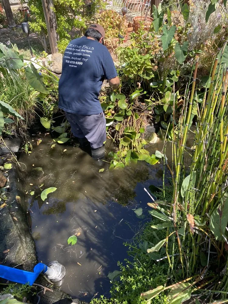 Custom landscaping services experts serving Elk Grove, CA - Creative Falls