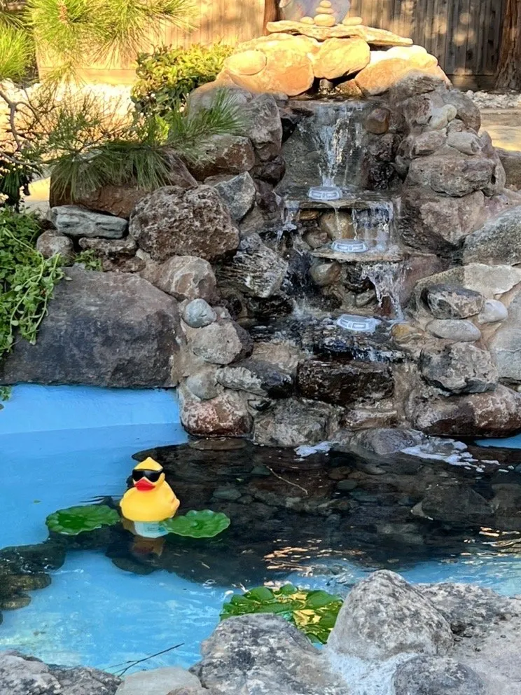 Affordable outdoor landscaping for homes across Elk Grove, CA - Creative Falls