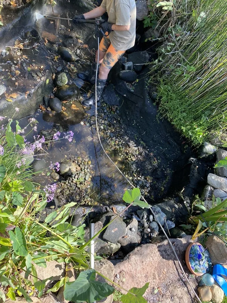 Top-rated residential landscaping experts serving Elk Grove, CA - Creative Falls