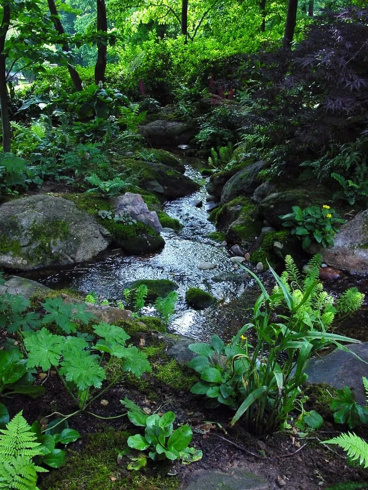 Trusted lawn mowing service for outdoor upgrades across Oak Ridge, NC - Creative Garden Spaces