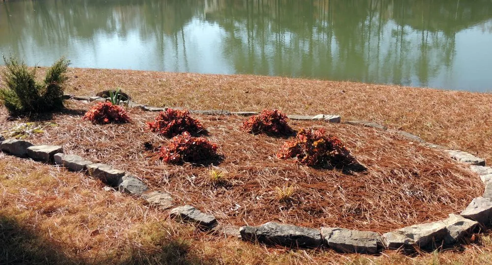 Local garden landscaping for homes across Brownsboro, AL - Creative Gardening