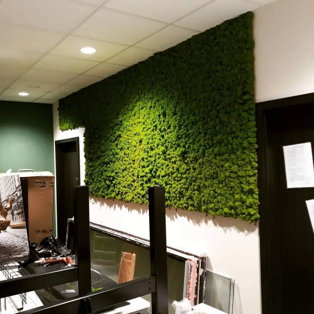 Top-rated residential landscaping near you across San Antonio, TX - Creative Gardens & More