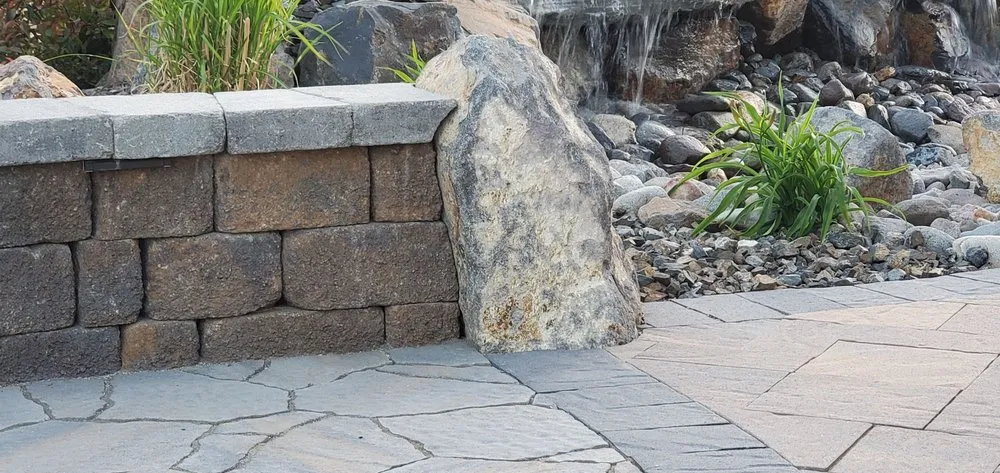 Top-rated yard cleanup service for beautiful yards across Sparks, NV - Creative Gardens