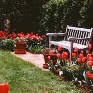 Expert residential landscaping in Stone Ridge, NY by Creative Gardens