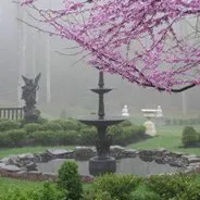 Trusted residential landscaping experts serving Stone Ridge, NY - Creative Gardens