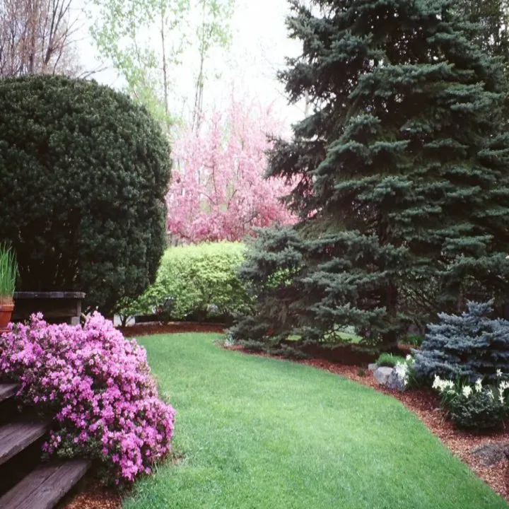 Expert yard cleanup service in Stone Ridge, NY by Creative Gardens