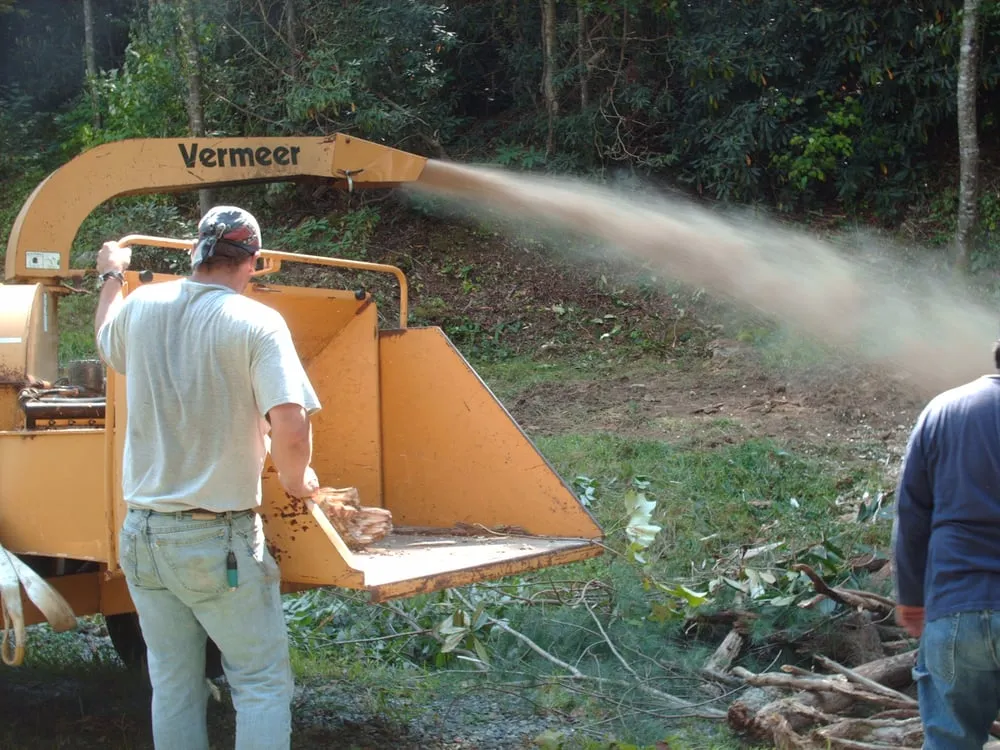 Top-rated residential landscaping in Palmetto Bay, FL - Creative Greenscapes