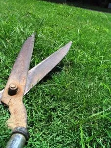 Reliable garden landscaping in Palmetto Bay, FL by Creative Greenscapes