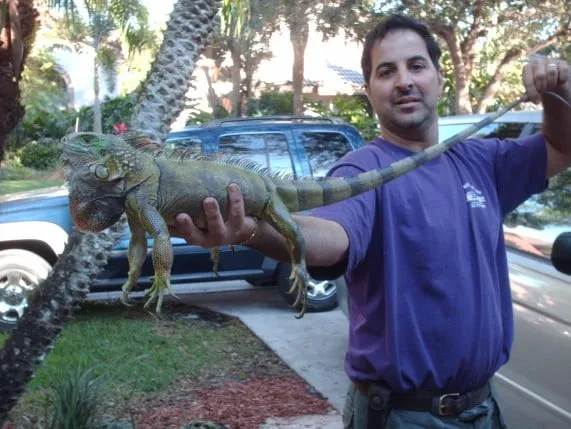 Custom landscape installation in Palmetto Bay, FL - Creative Greenscapes