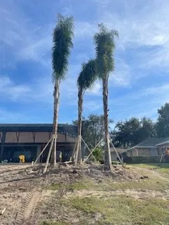 Affordable yard maintenance in Sorrento, FL by Creative Ground Works