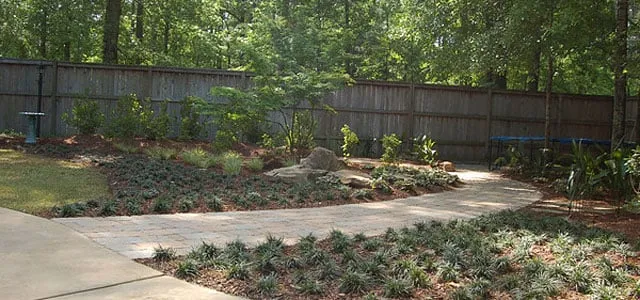 Trusted yard cleanup service in Auburn, AL - Creative Habitats