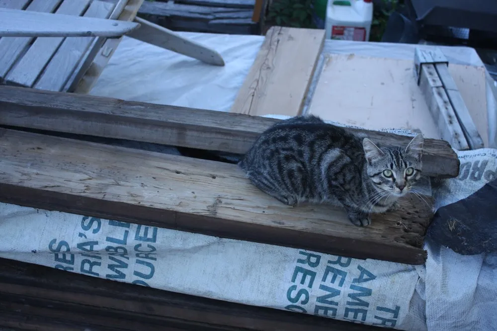 Expert landscaping services near you across Hagerman, ID - Creative Homes and Gardens