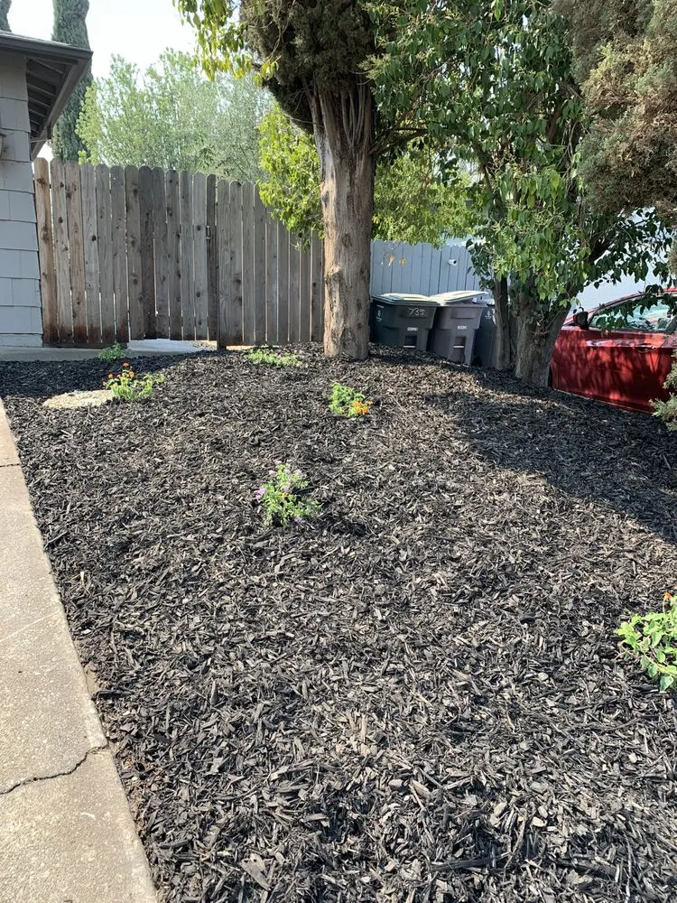 Reliable yard cleanup service in Vacaville, CA by Creative Image Landscaping