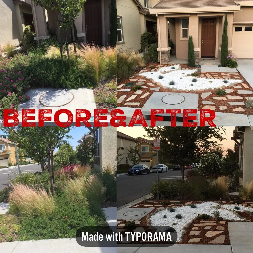Top-rated yard maintenance for homes in Vacaville, CA by Creative Image Landscaping