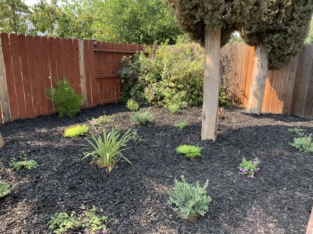 Expert yard cleanup service for outdoor upgrades in Vacaville, CA by Creative Image Landscaping