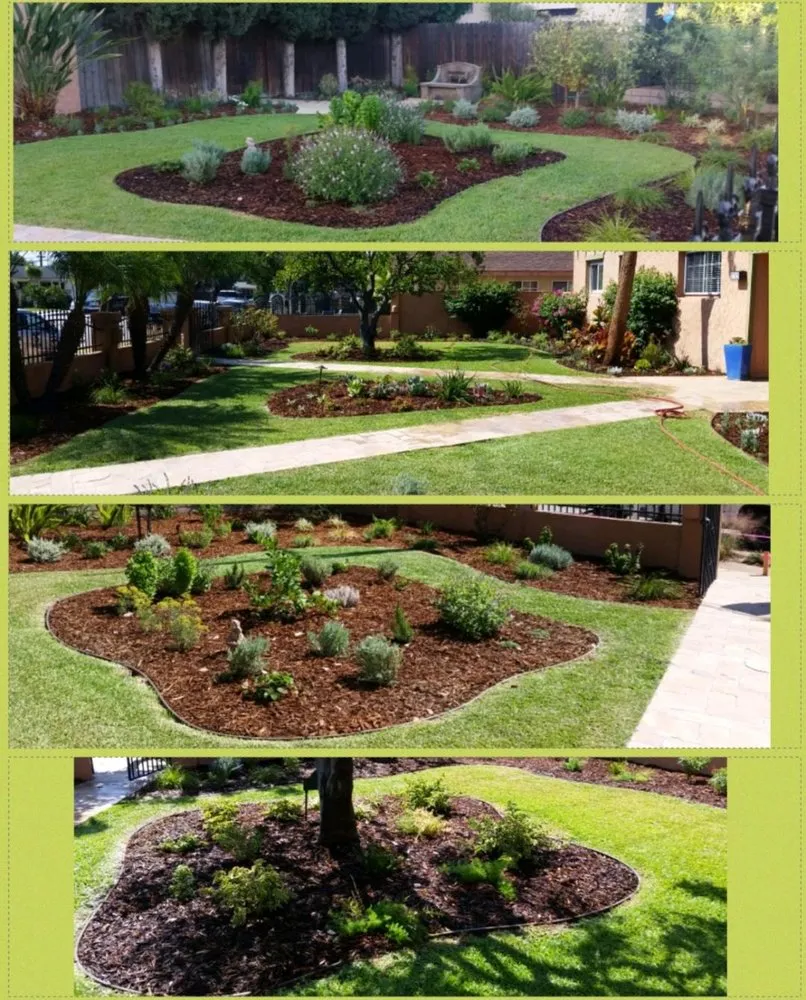 Professional residential landscaping in Pico Rivera, CA by Creative Innovations Landscape & Design