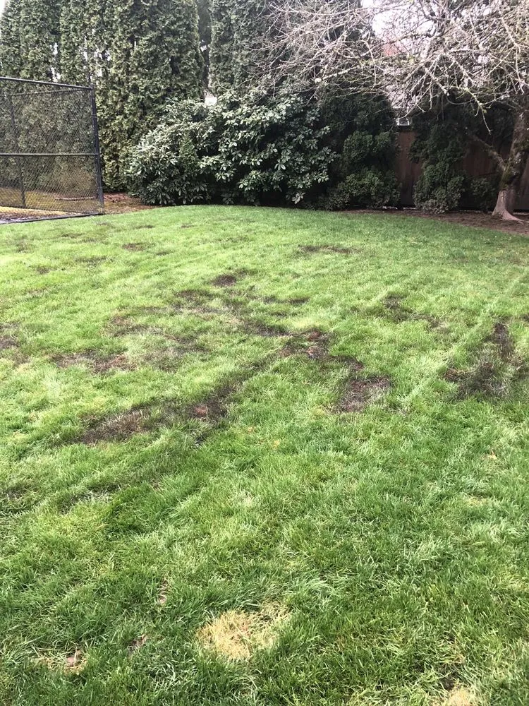 Top-rated landscape installation in Sherwood, OR by Creative Landcare