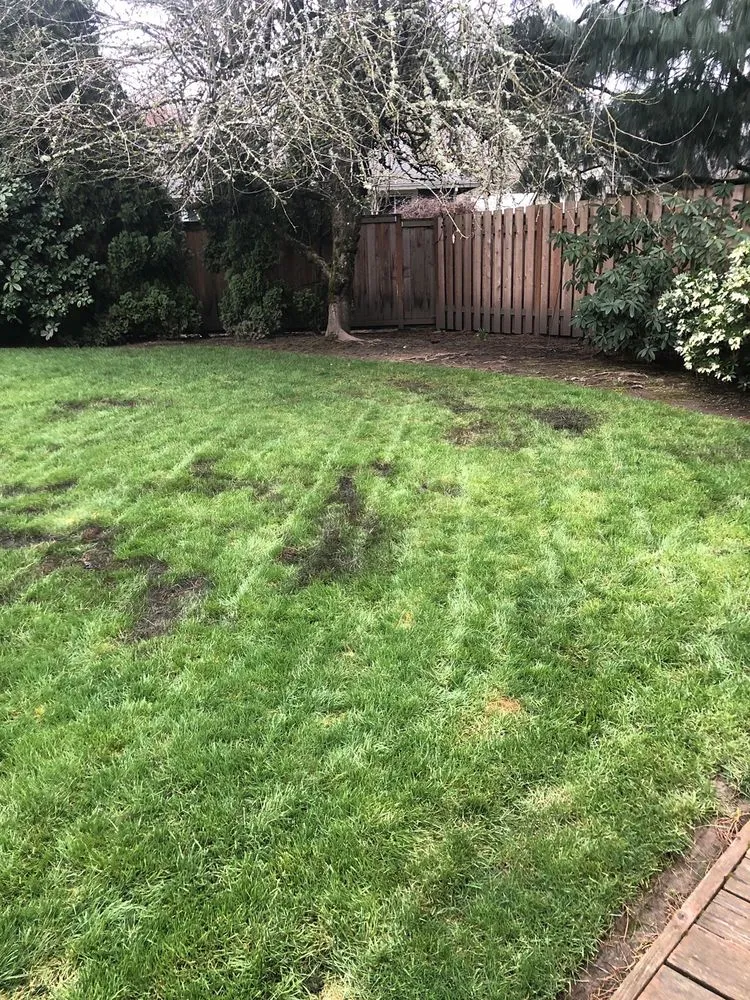 Affordable residential landscaping for beautiful yards across Sherwood, OR - Creative Landcare