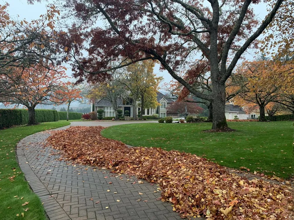 Trusted landscaping services experts serving Sherwood, OR - Creative Landcare