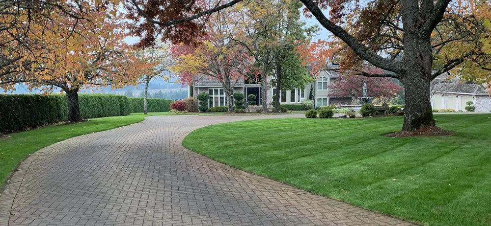 Expert yard cleanup service for outdoor upgrades across Sherwood, OR - Creative Landcare