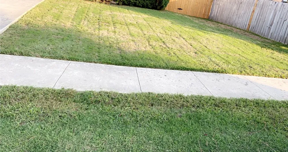 Top-rated landscaping services for outdoor upgrades across New Braunfels, TX - Creative Landscape and Fencing