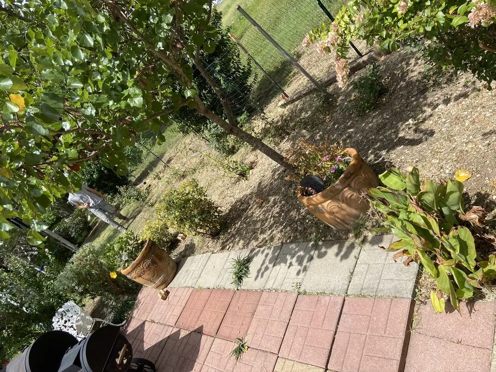 Top-rated outdoor landscaping for outdoor upgrades across New Braunfels, TX - Creative Landscape and Fencing