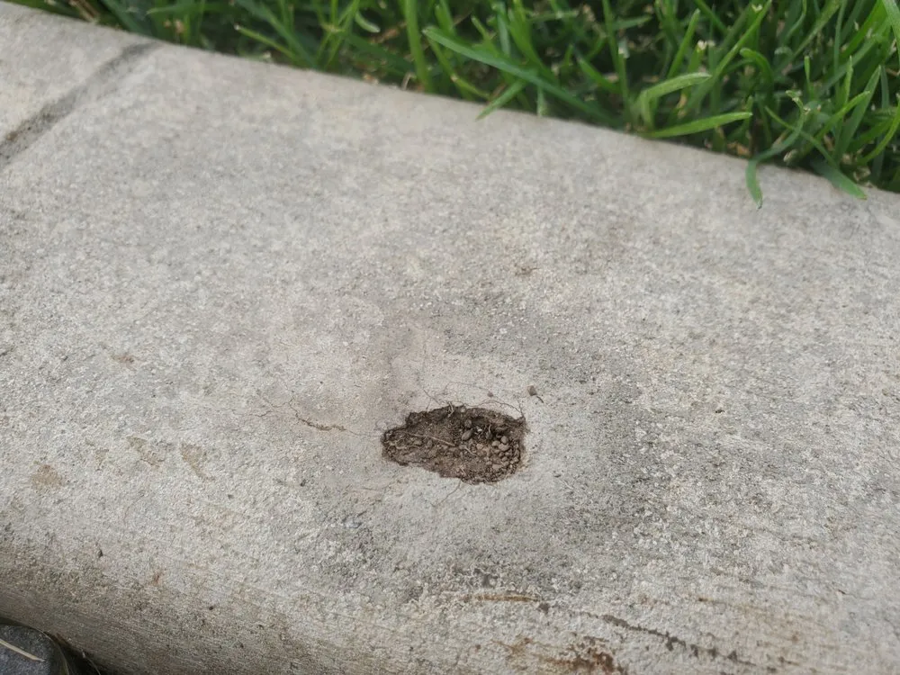 Trusted yard cleanup service in Antioch, CA - Creative Landscape Borders