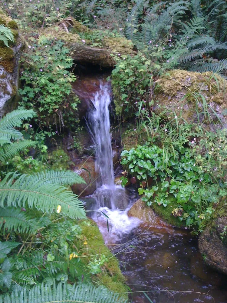 Expert landscape installation near you across Port Angeles, WA - Creative Landscape By Dan Blood