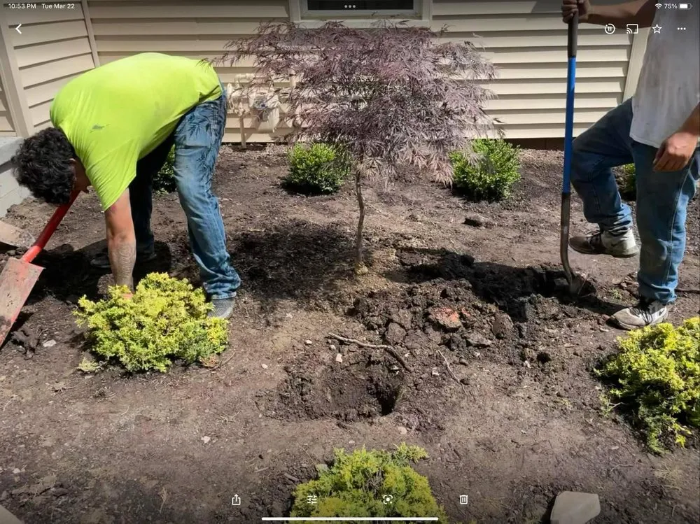 Affordable landscape installation experts serving Youngstown, OH - Creative Landscape by Design