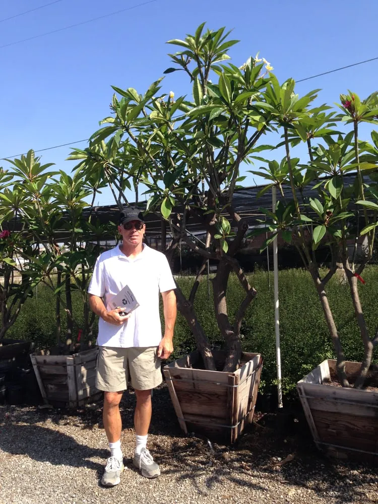 Professional landscape installation in Malibu, CA - Creative Landscape Design & LED Lighting