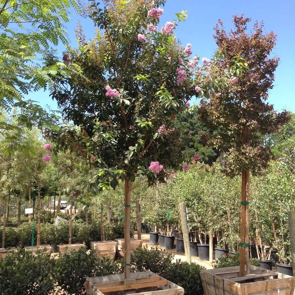 Expert landscape design for outdoor upgrades across Malibu, CA - Creative Landscape Design & LED Lighting