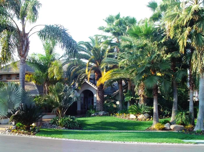 Trusted lawn care service for beautiful yards across Visalia, CA - Creative Landscape Designs