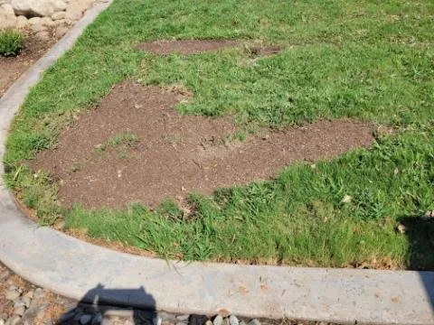 Reliable landscaping services for outdoor upgrades across Visalia, CA - Creative Landscape Designs