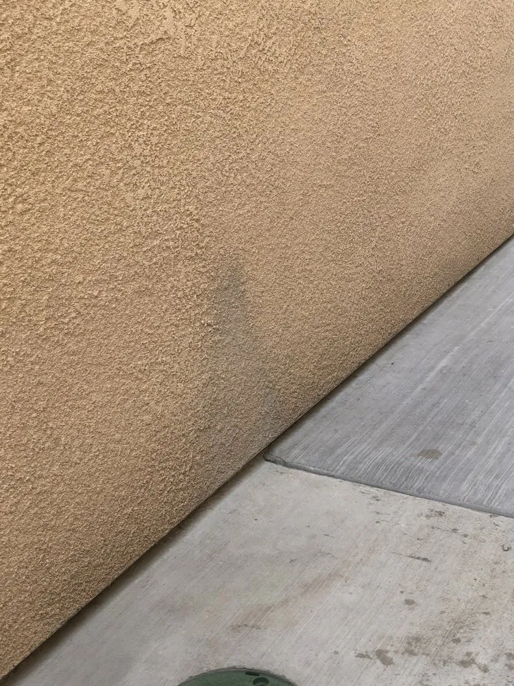 Local yard cleanup service experts serving Visalia, CA - Creative Landscape Designs