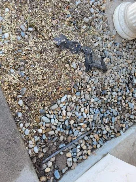 Local lawn mowing service for homes across Visalia, CA - Creative Landscape Designs