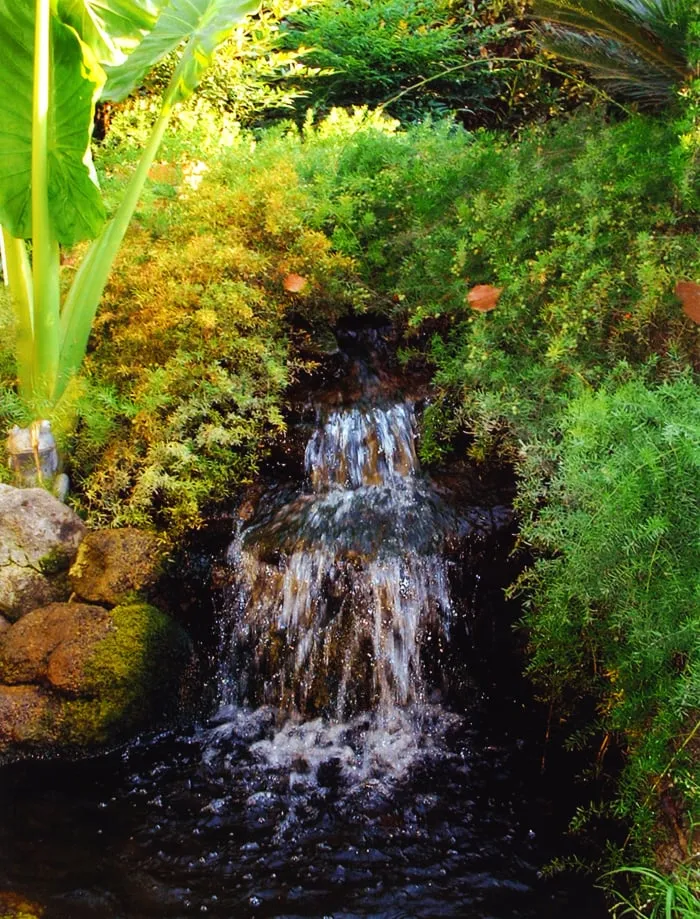 Reliable landscape design for beautiful yards across Visalia, CA - Creative Landscape Designs