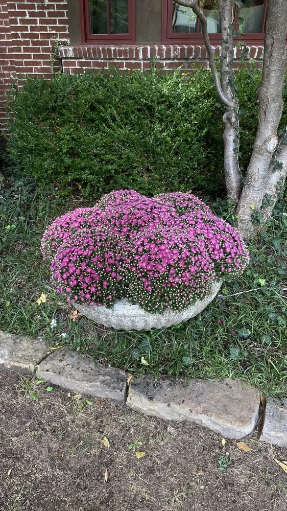 Trusted landscaping services in Goddard, KS by Creative Landscape