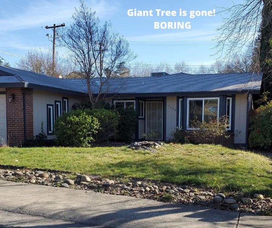 Trusted landscaping services in Sacramento, CA - Creative Landscape Service