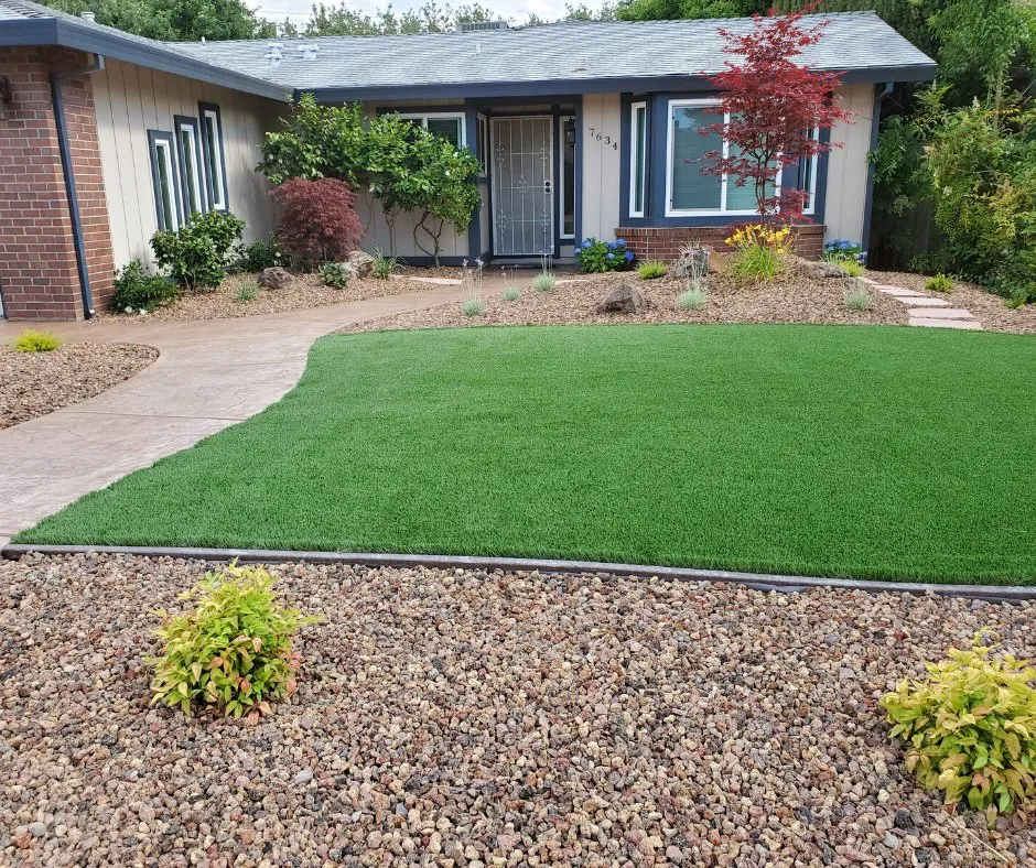 Affordable yard cleanup service in Sacramento, CA - Creative Landscape Service