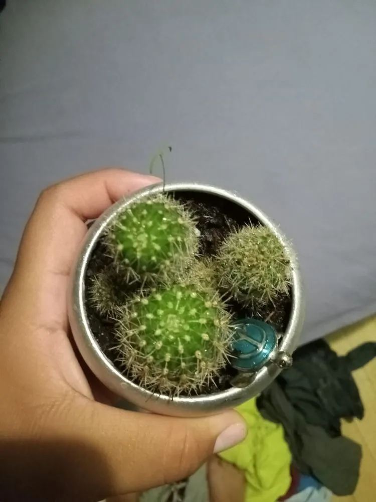 Professional landscape installation in Sultan, WA by Creative Landscape