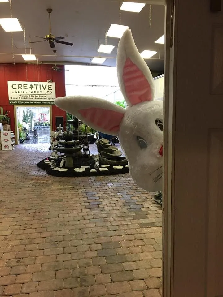 Trusted yard maintenance in Fairview Heights, IL - Creative Landscapes & Garden Center