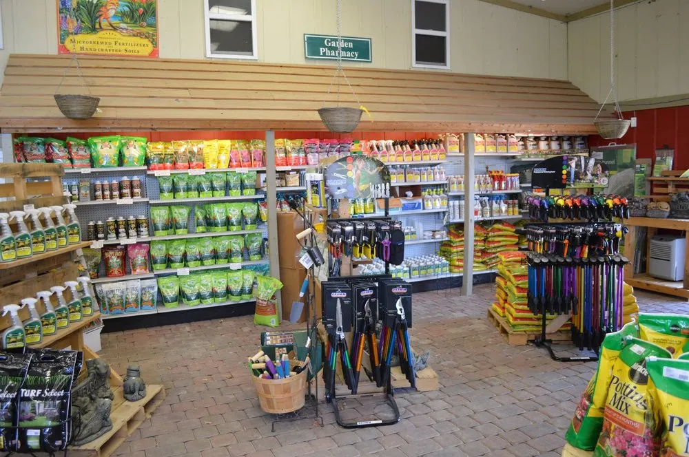 Affordable yard cleanup service for year-round maintenance in Fairview Heights, IL by Creative Landscapes & Garden Center