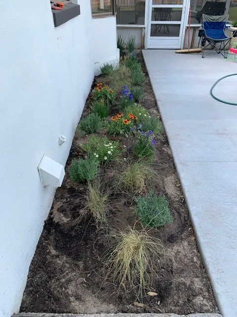 Local yard maintenance for beautiful yards in Apopka, FL by Creative Landscapes